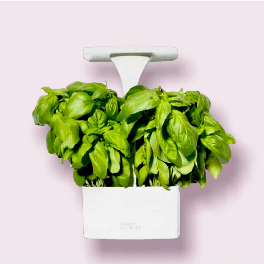 Short Stories LED Indoor Planter *Grow Herbs* NEW